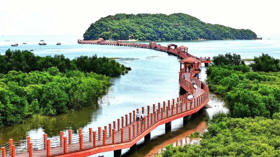 Yangjiang's wetland park showcases mangrove biodiversity