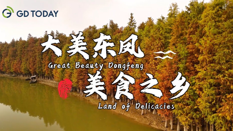 Dongfeng Town: Land of delicacies in Zhongshan