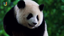 青春主场|一起来接收来自全世界青年的追捧和助力! 青春主场|一起来接收来自全世界青年的追捧和助力!