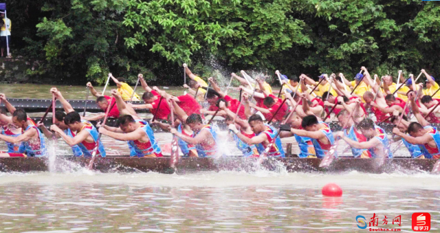 28条龙舟在流溪河上逐浪争先。