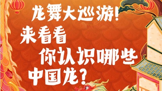 龙舞大巡游！来看看你认识哪些中国龙？