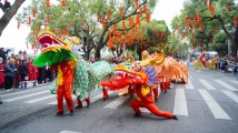 “舞动中国龙”——龙舞大巡游全国主会场活动举行 “舞动中国龙”——龙舞大巡游全国主会场活动举行