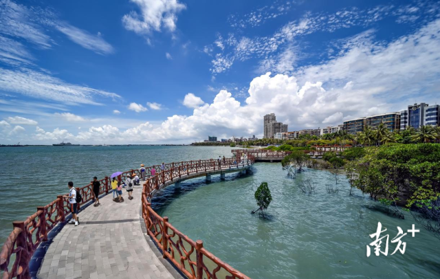 南方+ 林日清 拍摄