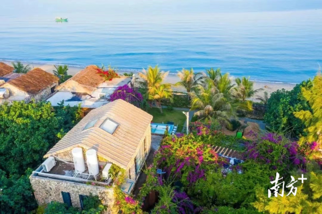 南方+ 林日清 拍摄