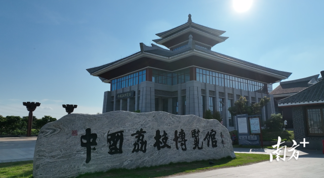 南方+ 林日清 拍摄