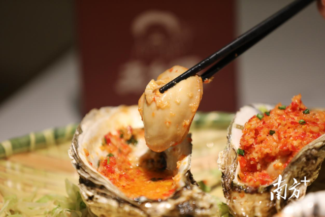 南方+ 林日清 拍摄