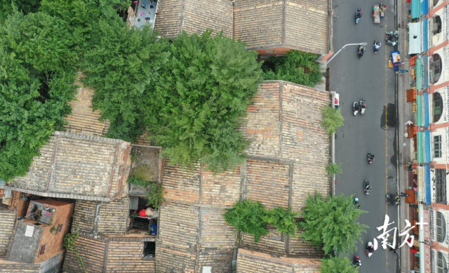 南方+ 林日清 拍摄