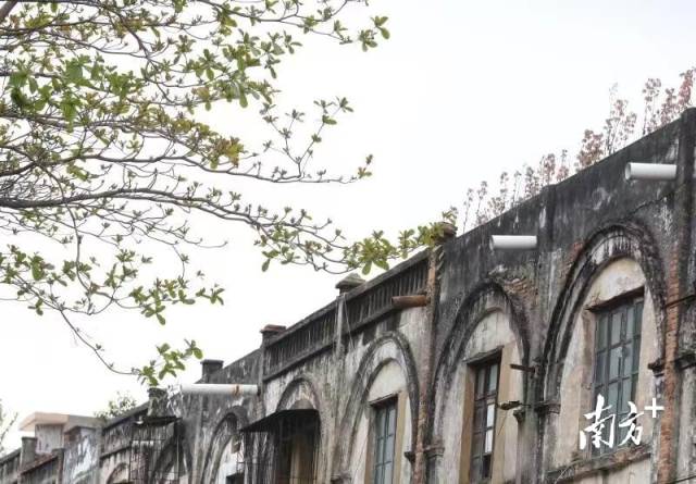 南方+ 林日清 拍摄