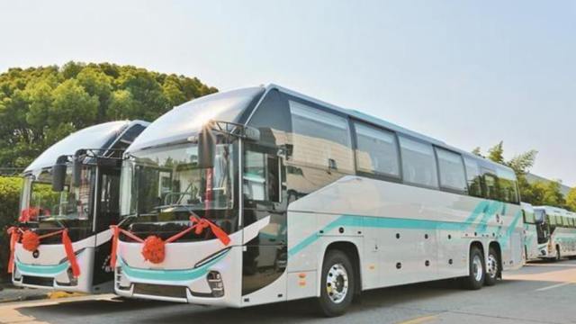 Operation round the clock! Shuttle buses for Shenzhen-Zhongshan Link ready to use
