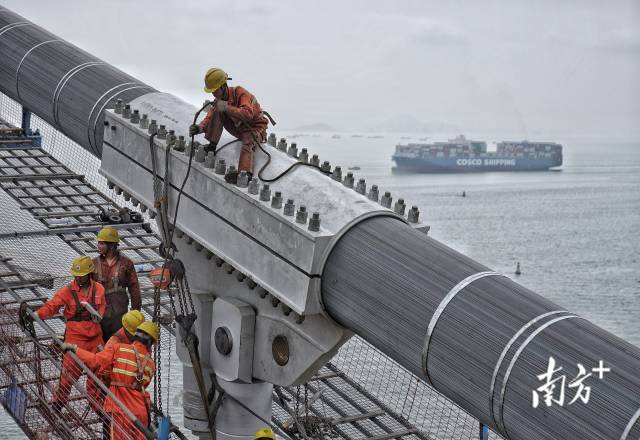 伶仃洋上，建设者正在进行深中大桥主缆架设作业。