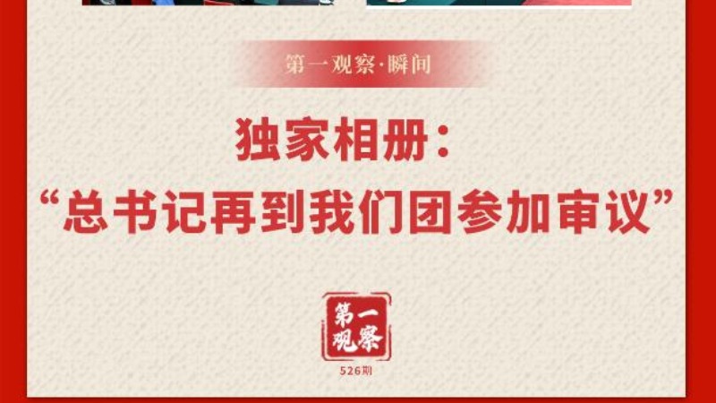 两会第一观察·瞬间丨独家相册：“总书记再到我们团参加审议”