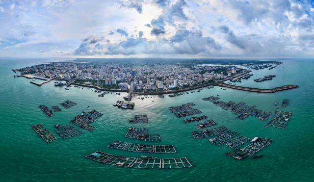 香港金管局：认可机构的存款总额在6月份上升0.9%