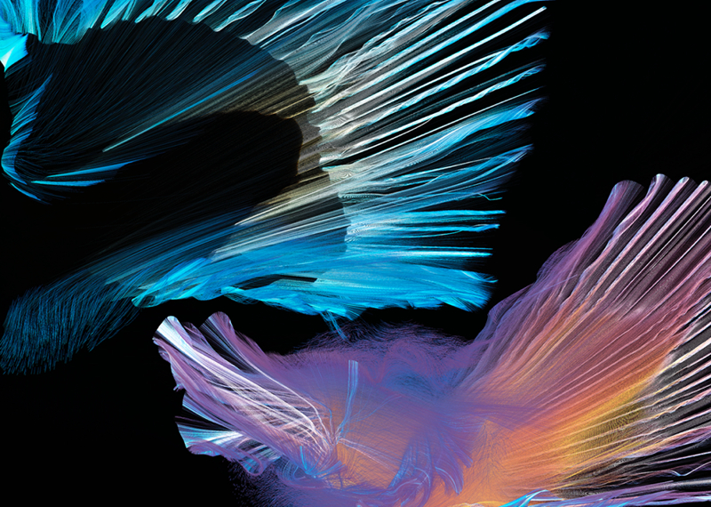 吴少英 Cindy Ng
韵律 The Beauty of the Rhythm
数字生成艺术互动作品 Digital interact generative work