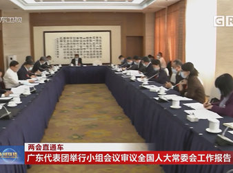 广东代表团举行小组会议审议全国人大常委会工作报告