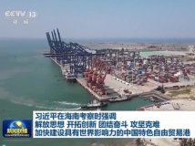 习近平在海南考察 习近平在海南考察