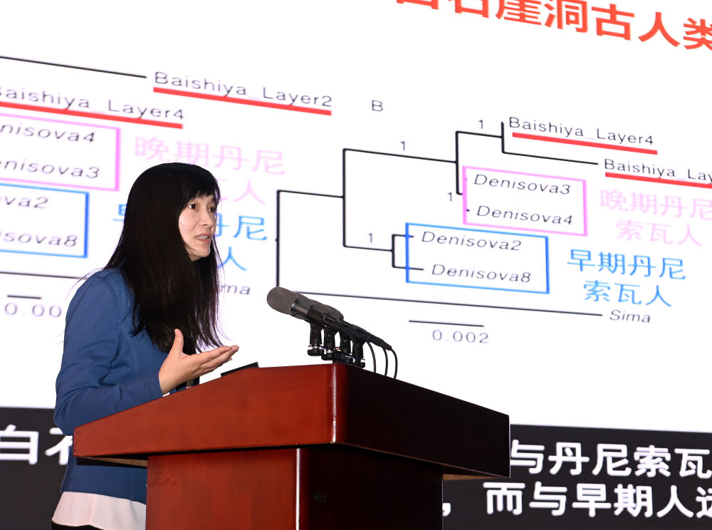 在河南省三门峡市举行的第三届中国考古学大会上，长期从事古遗传学研究的“80后”女科学家付巧妹在作主题报告（2021年10月18日摄）。新华社记者 李贺 摄