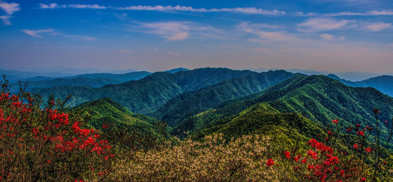 车八岭国家级自然保护区：位于韶关始兴县，有“物种宝库，南岭明珠”之称，广东省面积最大的自然保护区之一。