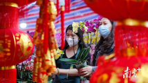 文化进万家|行花街日历来了!广东人爱的年花原来产自这里 文化进万家|行花街日历来了!广东人爱的年花原来产自这里