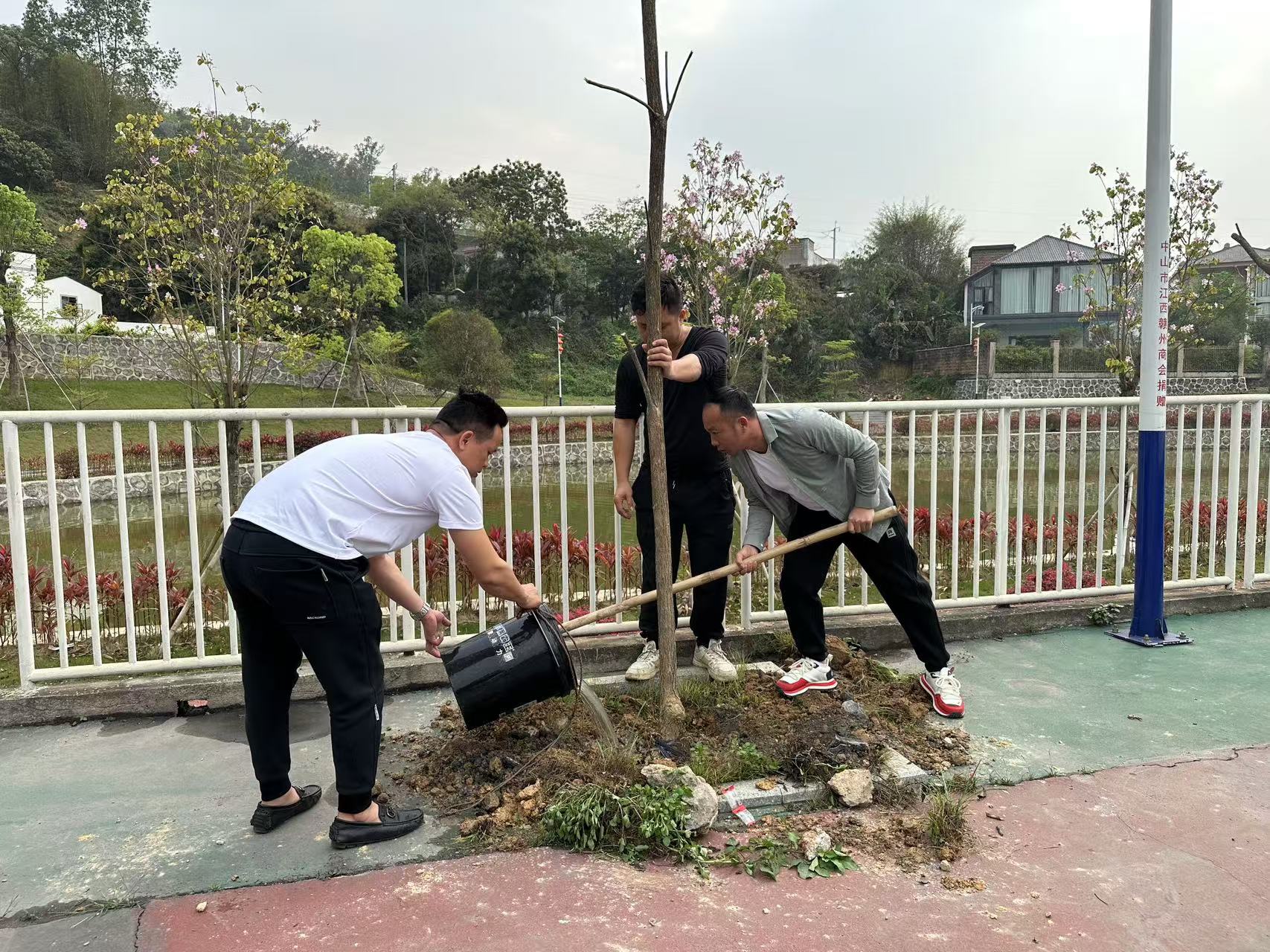 聚焦“百千万工程”丨云安“村BA”助力乡村绿化行动启动