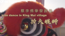 粤味中国年|蔡李佛拳发源地看功夫醒狮 粤味中国年|蔡李佛拳发源地看功夫醒狮
