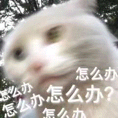粤省事_20250822_163014.gif