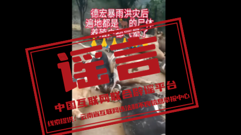 今日辟谣（2025年8月29日）