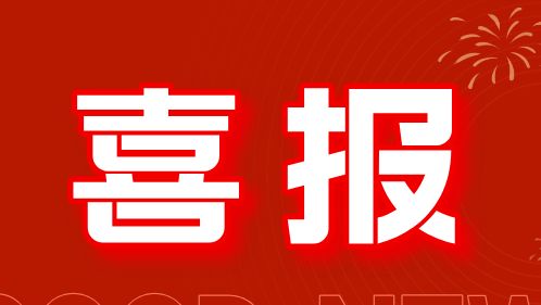 喜报！广东省药监局案例入选2025年“药品智慧监管典型案例”