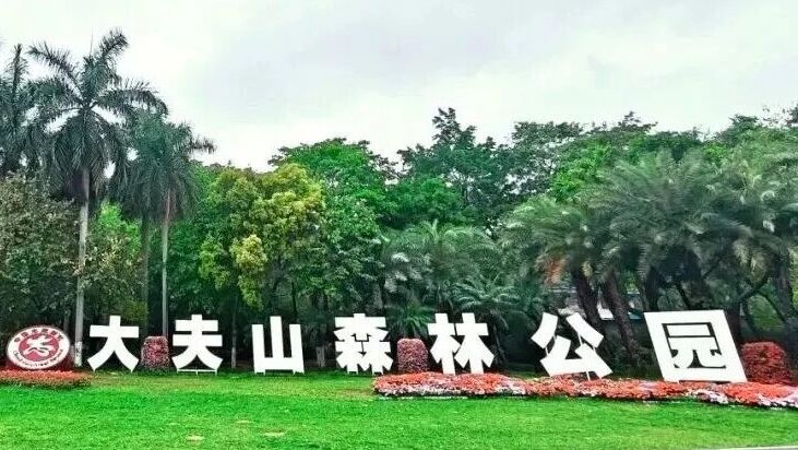 预告 | 这场徒步嘉年华，邀您共赴全运之约