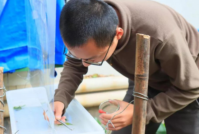 Another new species named after Guangzhou's Haizhu