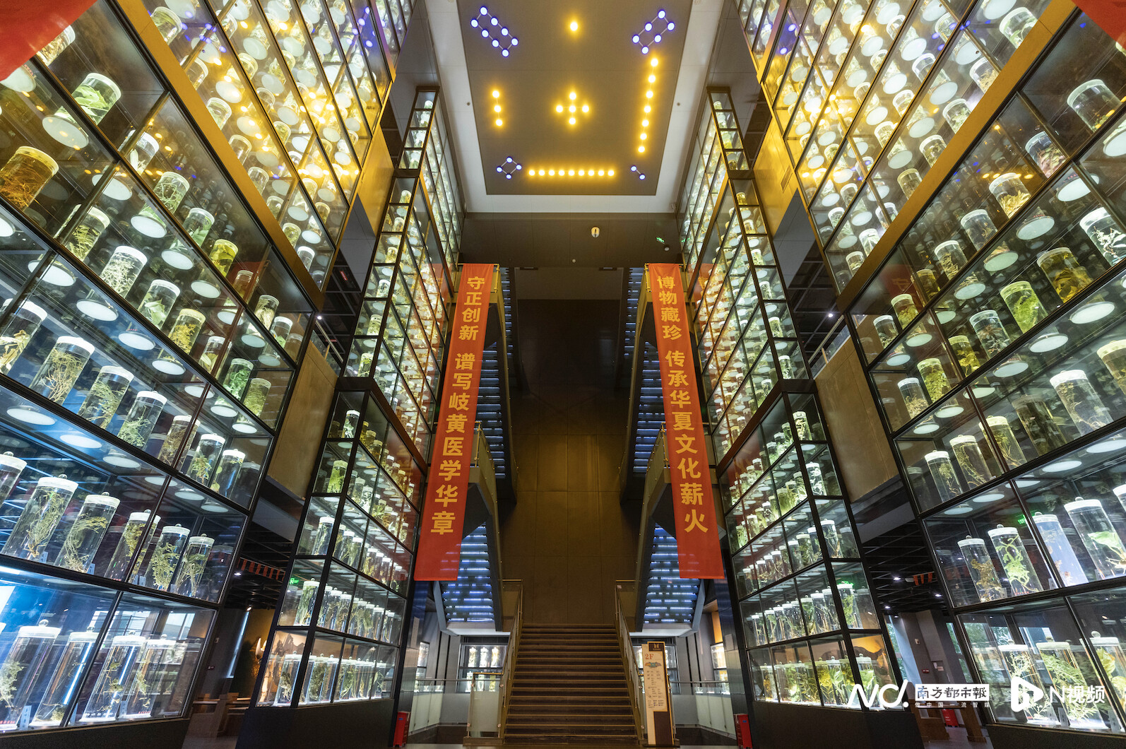 广东中医药博物馆内景。