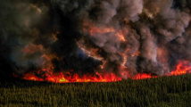 加拿大山火持续蔓延 仍有207起山火处于“失控”状态