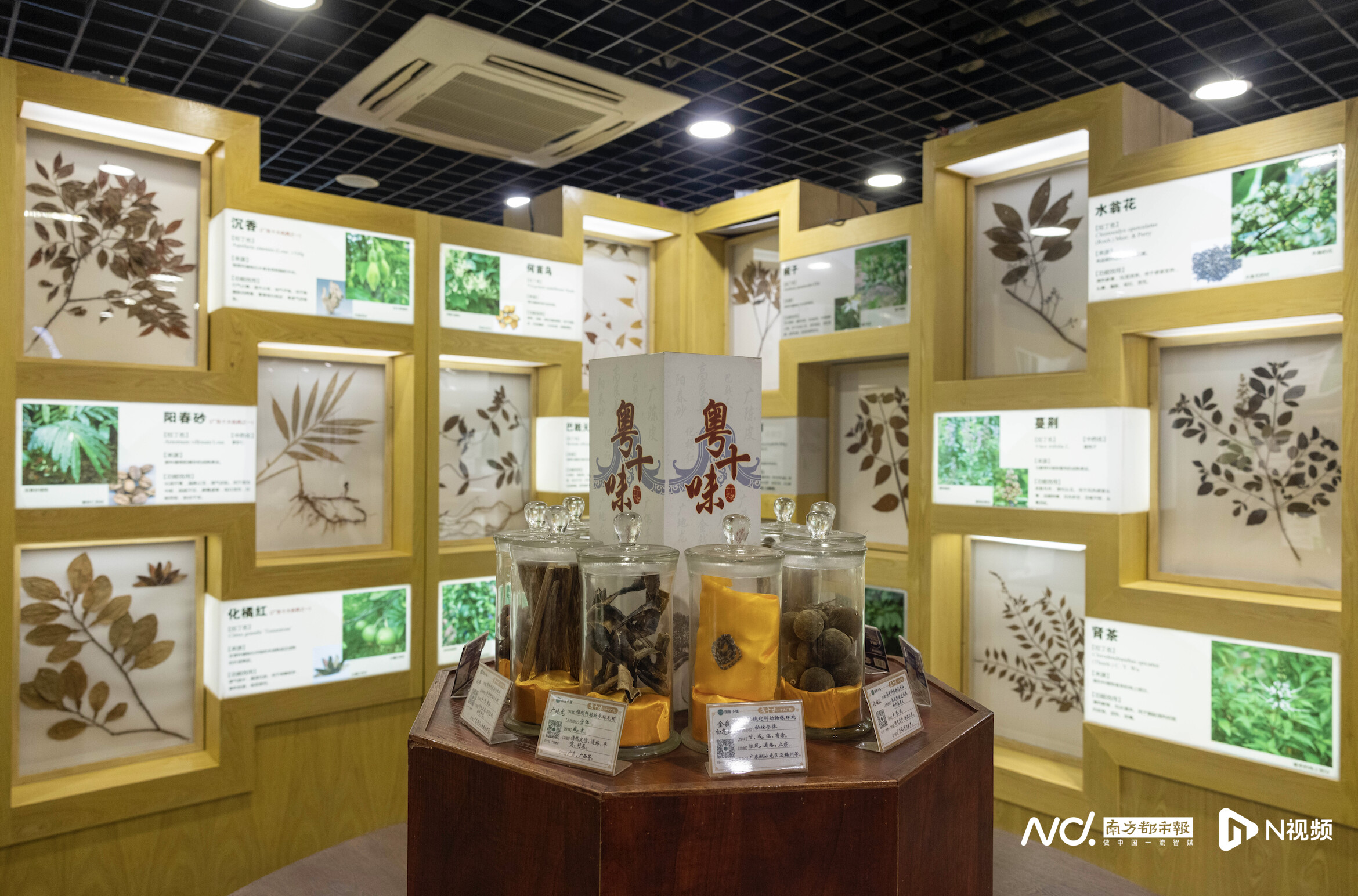 广府本草博物馆位于大沙头的广府药膳街内，馆内收藏着许多中药材。