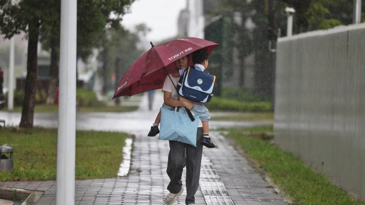 台风“塔巴”袭粤，直击广州番禺“萌娃”雨中上学现场