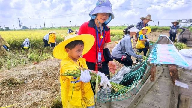广东各地乡村旅游持续火热！农旅体验花样多