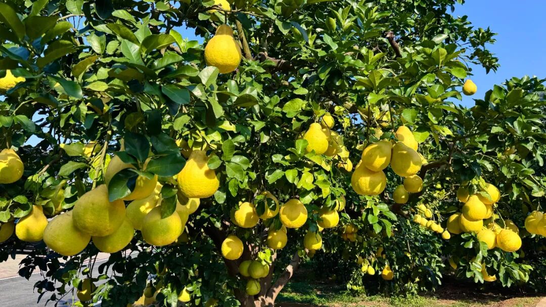 点绿成金，绿水青山是最普惠的民生福祉