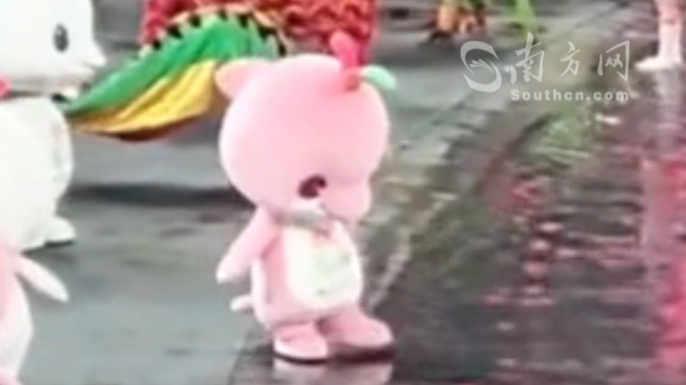 太可爱了！“喜洋洋”“乐融融”偷偷踩水被拍下