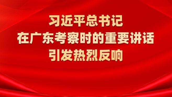 走在前作示范挑大梁 不断取得现代化建设新成效