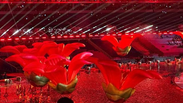 生动展现大湾区美学，林蓝揭秘开幕式“广美力量”