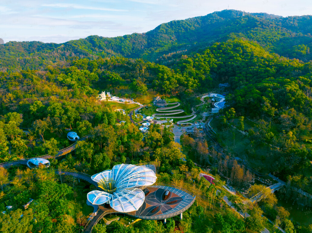 绿美店支持全国运动会赛事