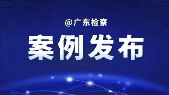 广东省人民检察院发布“强化法律监督 推进毒品犯罪检察治理”典型案例