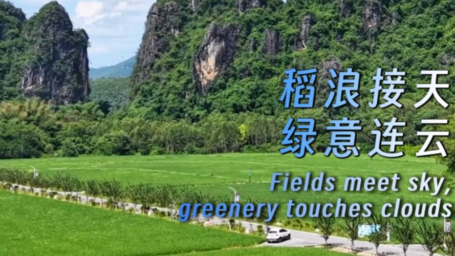 Fields meet sky, greenery touches clouds