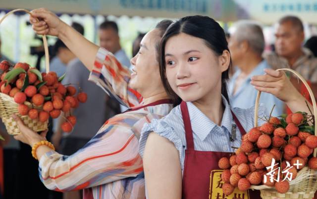 6月16日，2025高州市大井镇桂味荔枝开园活动在木广垌村拉开帷幕。