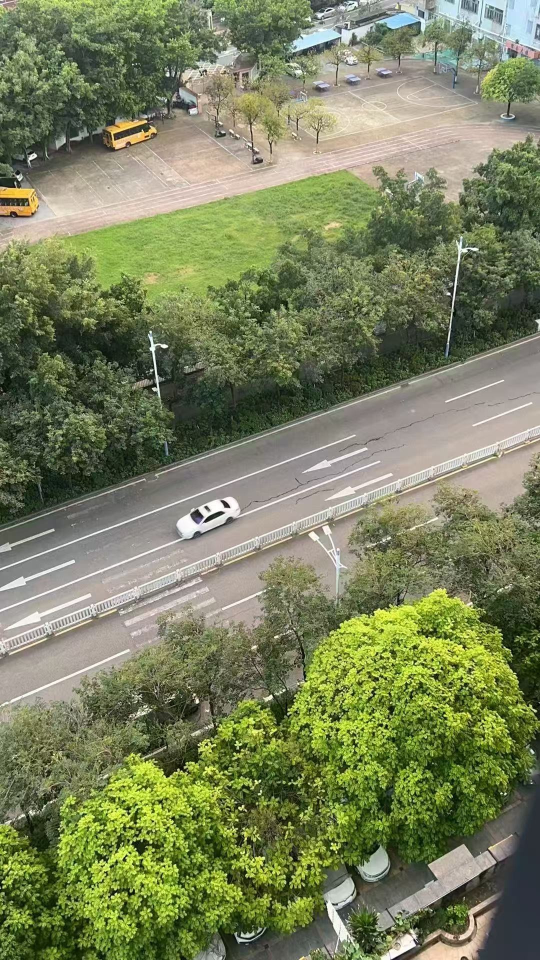 网传图片