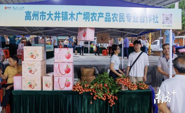 木广垌农产品农民专业合作社年均产值约1.4亿元。