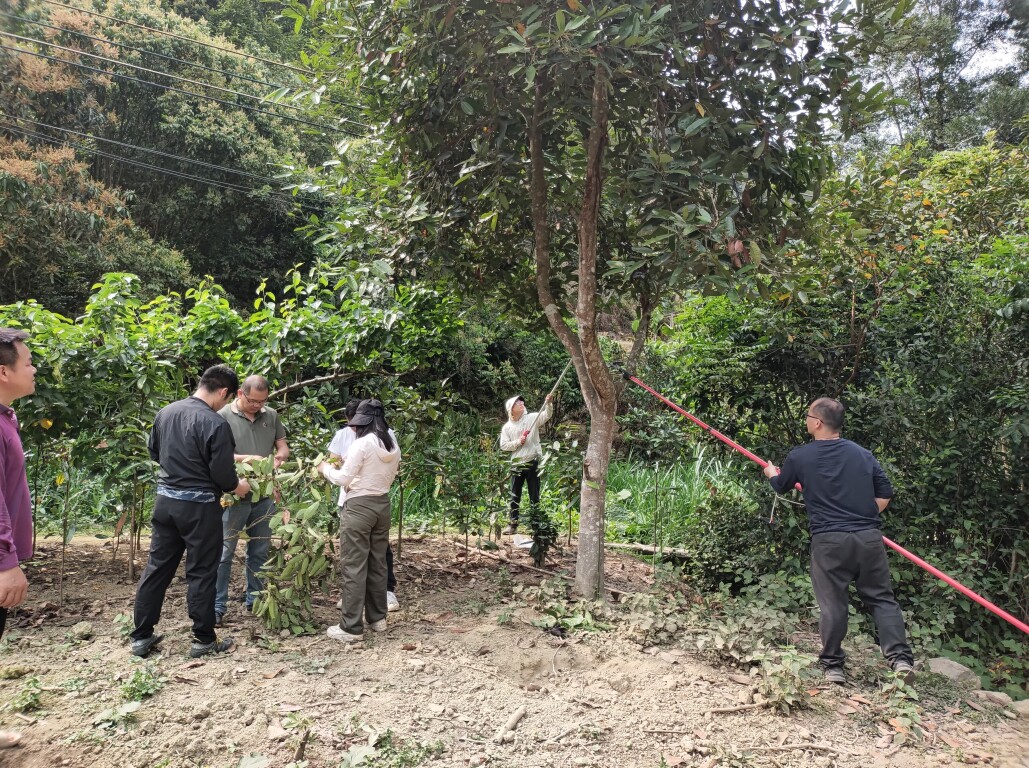 肇庆市南药研究所专家组走进郁南县通门镇