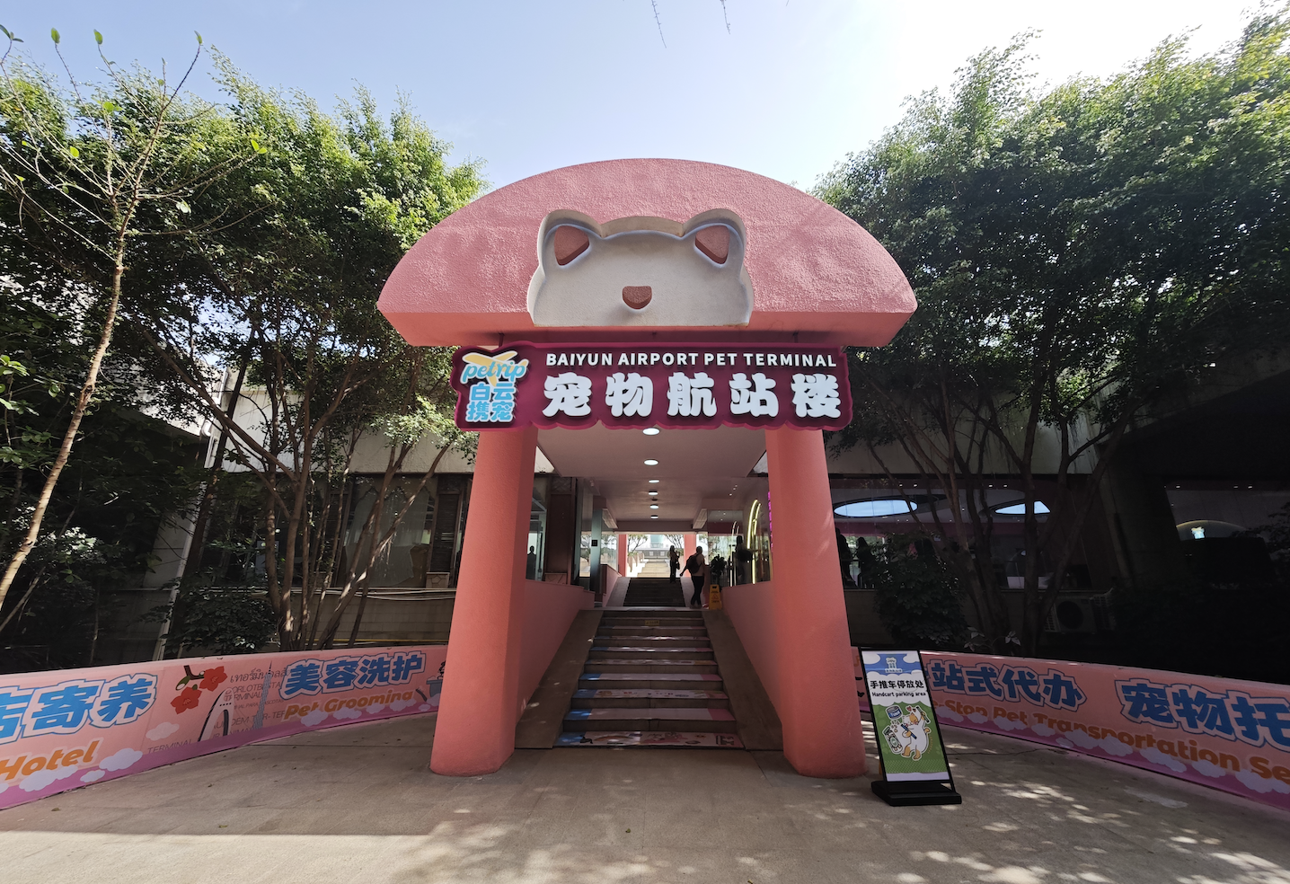 Photo: Pan Jiajun