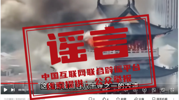 今日辟谣（2025年11月14日）