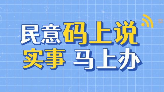 3天化解枯树险情  “码上办”跑出民生加速度