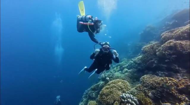 相关视频截图。