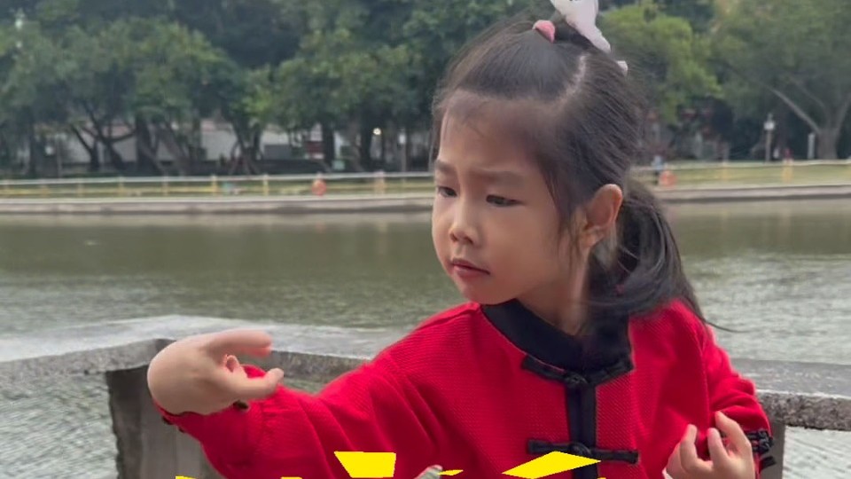 Adorable 5-year-old wows the internet with martial arts skills